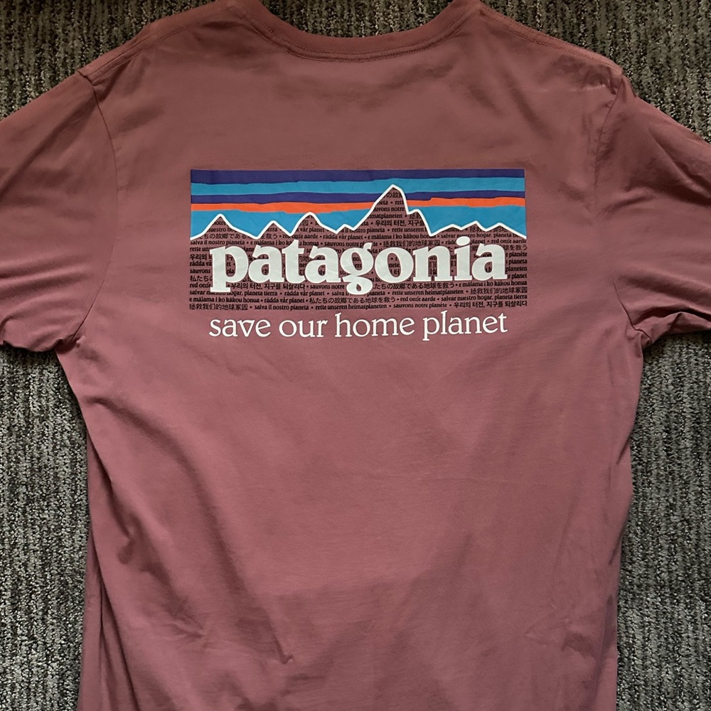 Mens Patagonia tshirt. Size medium